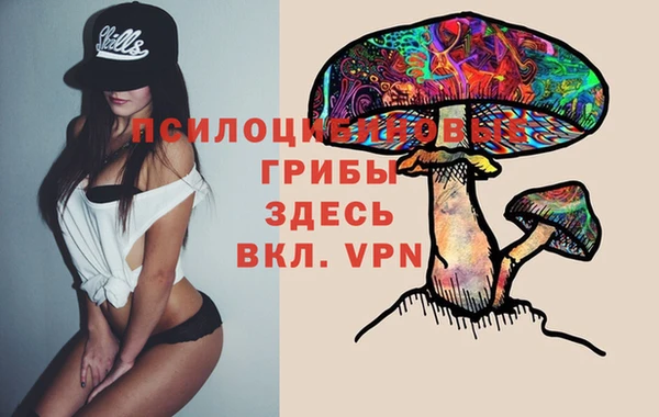 jwh Арсеньев