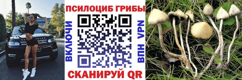 Псилоцибиновые грибы MAGIC MUSHROOMS  Усинск 